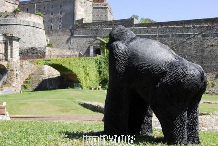 gorilla in bronzo