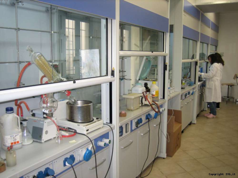 Camera commercio Albenga laboratorio