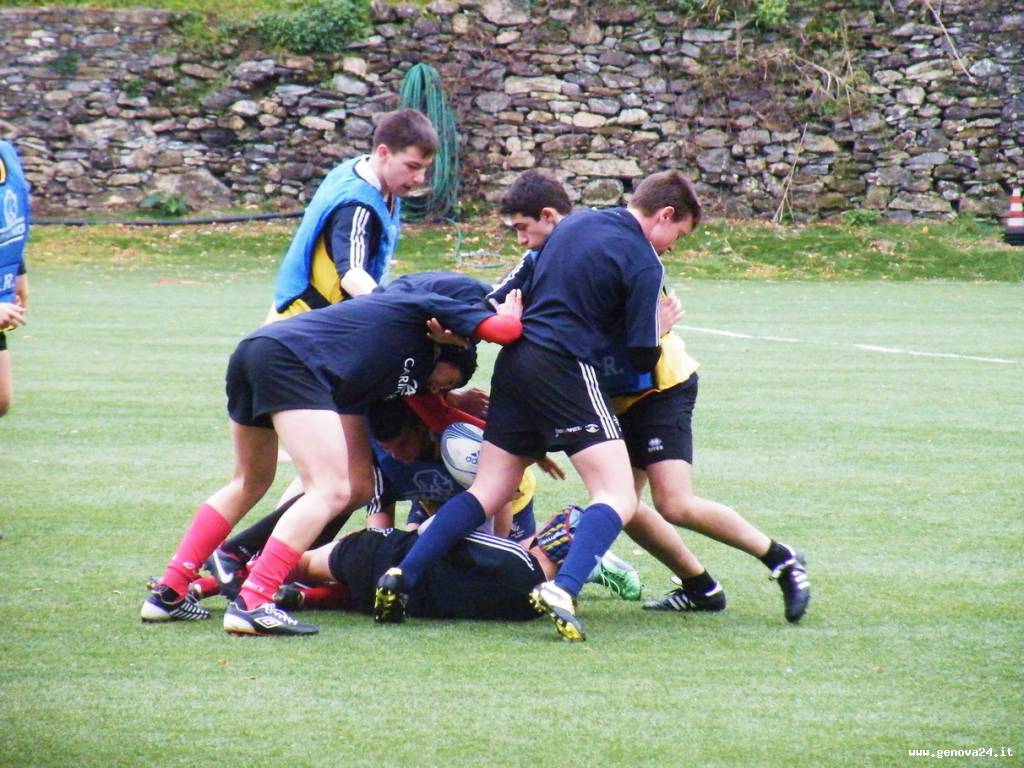 rugby giovanile