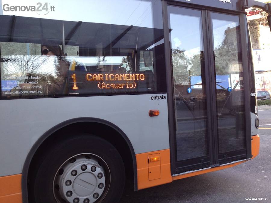 autobus bus amt 1