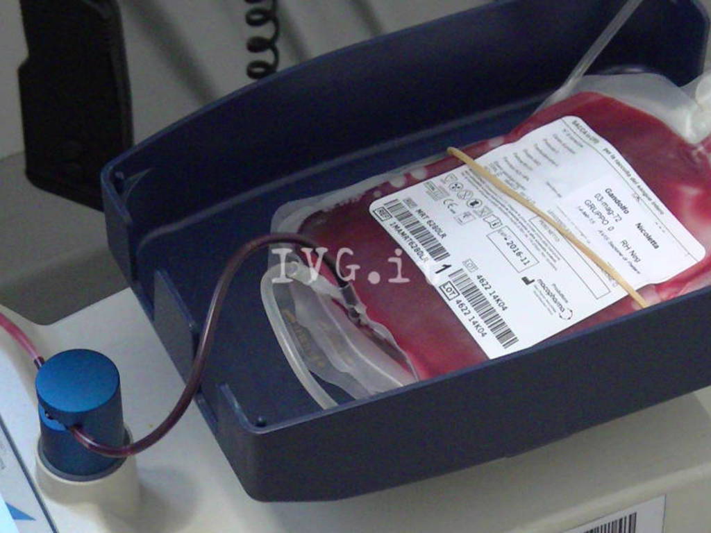 Avis sangue pallare savona donazione