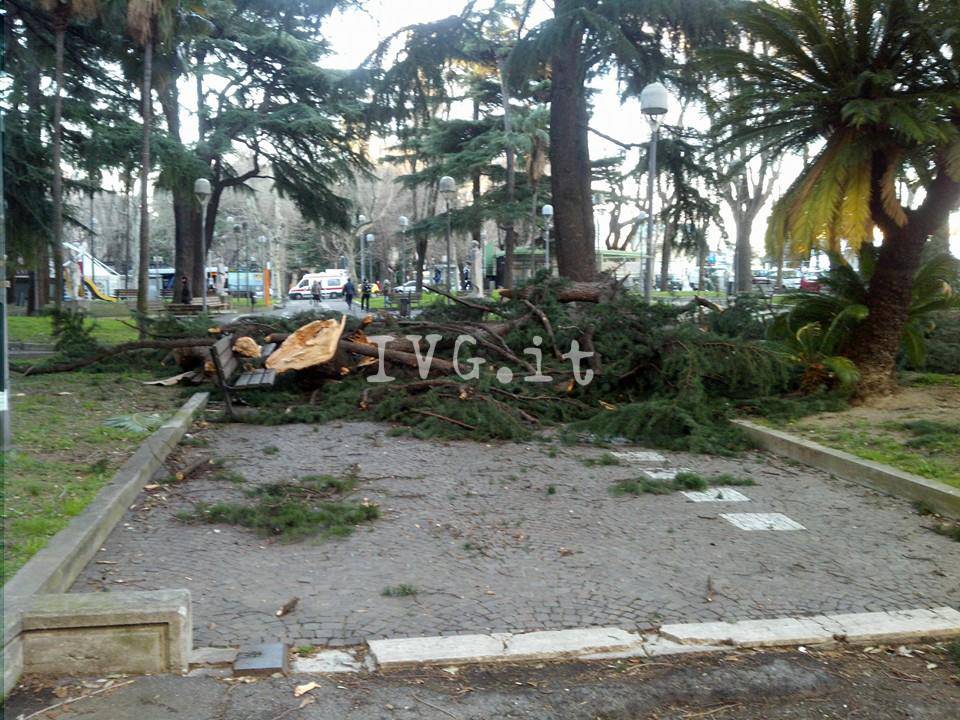 Vento forte danni in Riviera