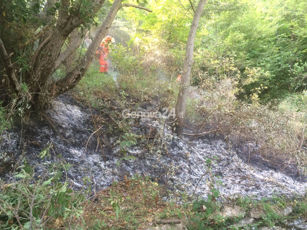 Incendio nei boschi 