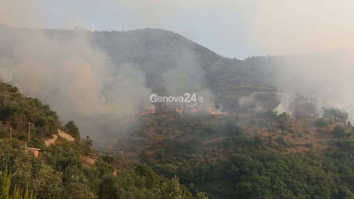 Vasto incendio a Sant'Ilario e Bogliasco
