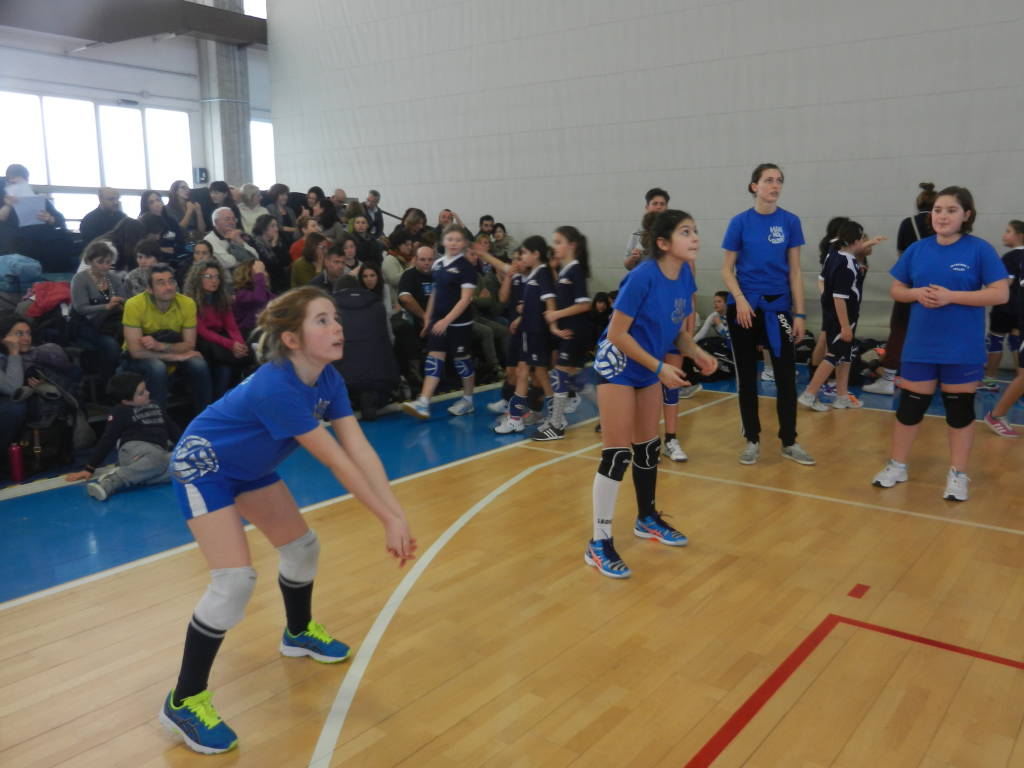 Maremola Volley – settore giovanile: si riparte con grandi novità verso ambiziosi traguardi!