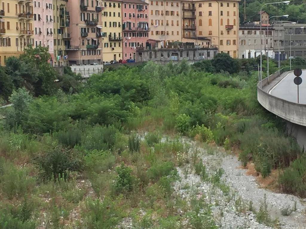 M5S, il reportage-denuncia sulla situazione del torrente Polcevera
