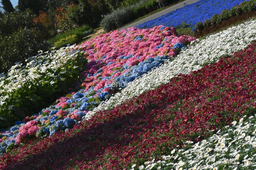 Euroflora 2018 lo spettacolo dei parchi di nervi tra fiori e colori