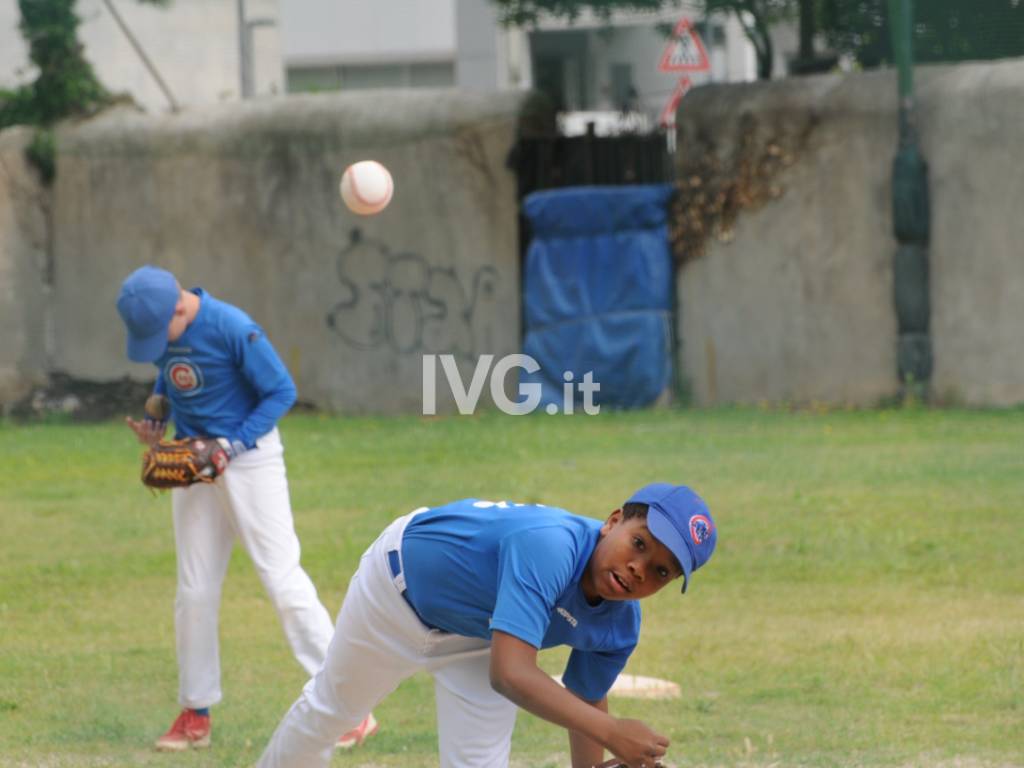 Baseball Under 12: i Cubs alla Finale Play-Off