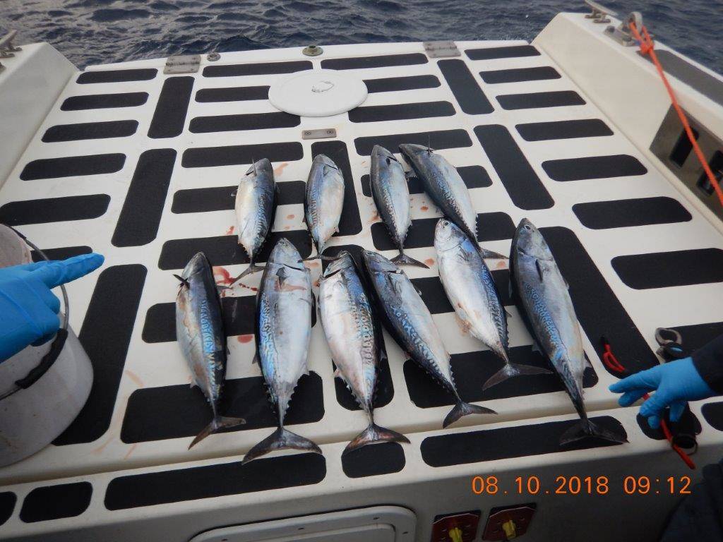 sanzioni pescatori