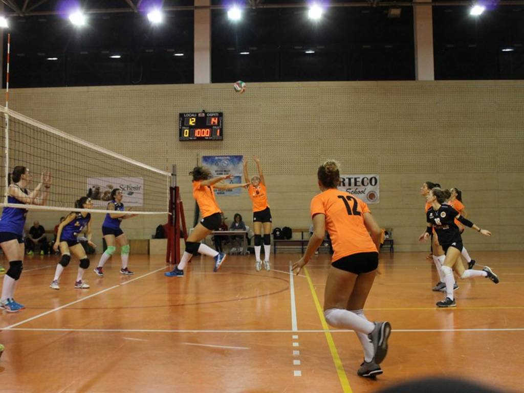 Serteco Volley – Avis Casarza Ligure