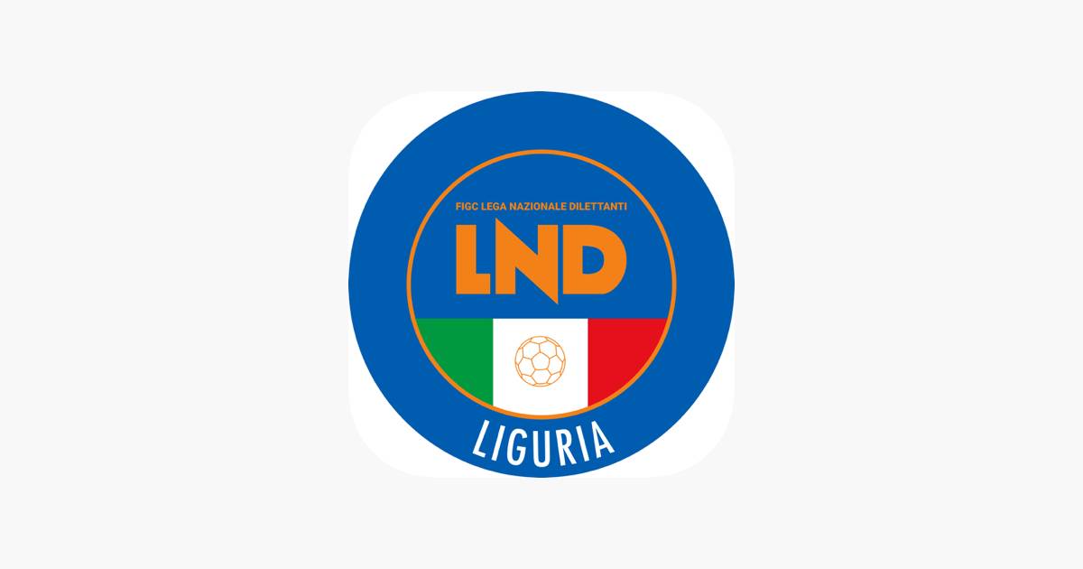 Lega Nazionale Dilettanti 