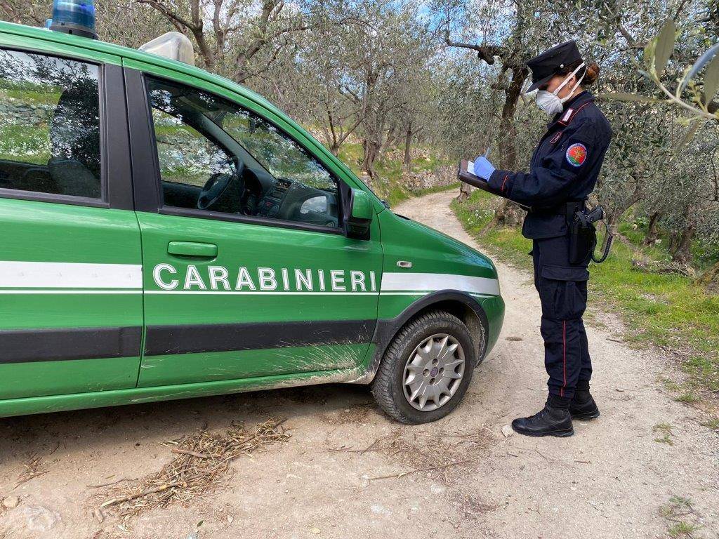carabinieri forestali