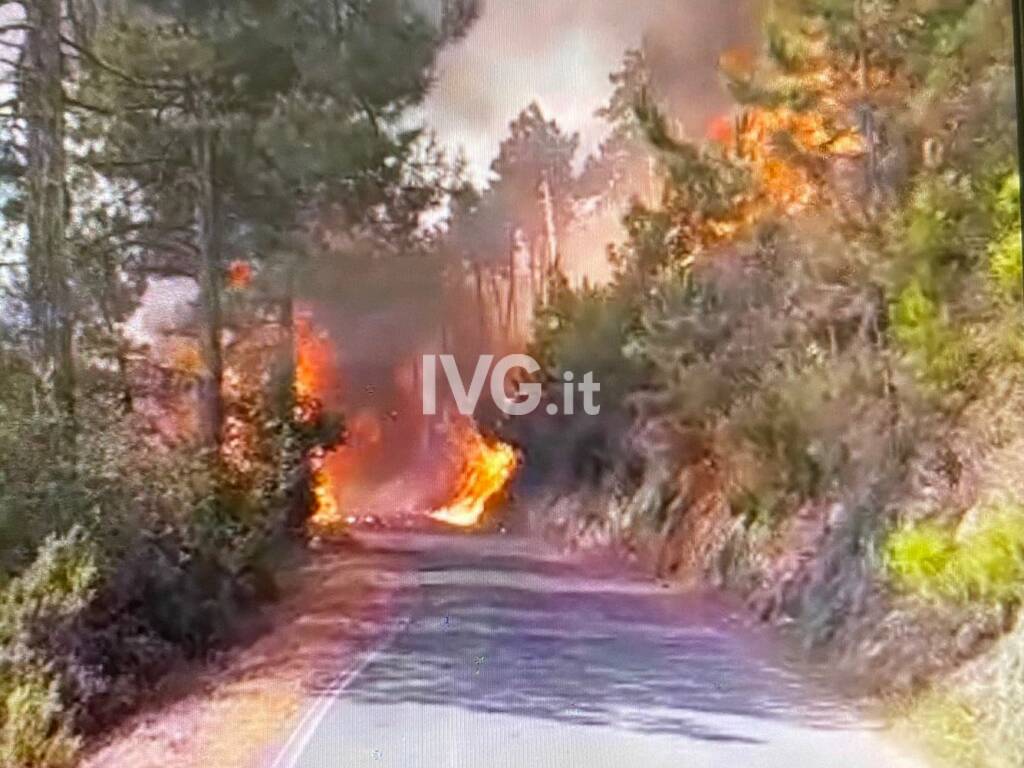 Incendio nell'entroterra di Albenga: vigili del fuoco mobilitati 
