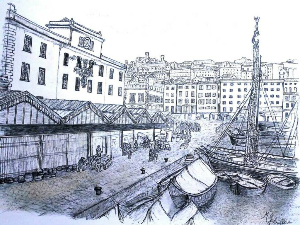 Genova "Legni damare" mostra disegni Maria Grazia Dallera
